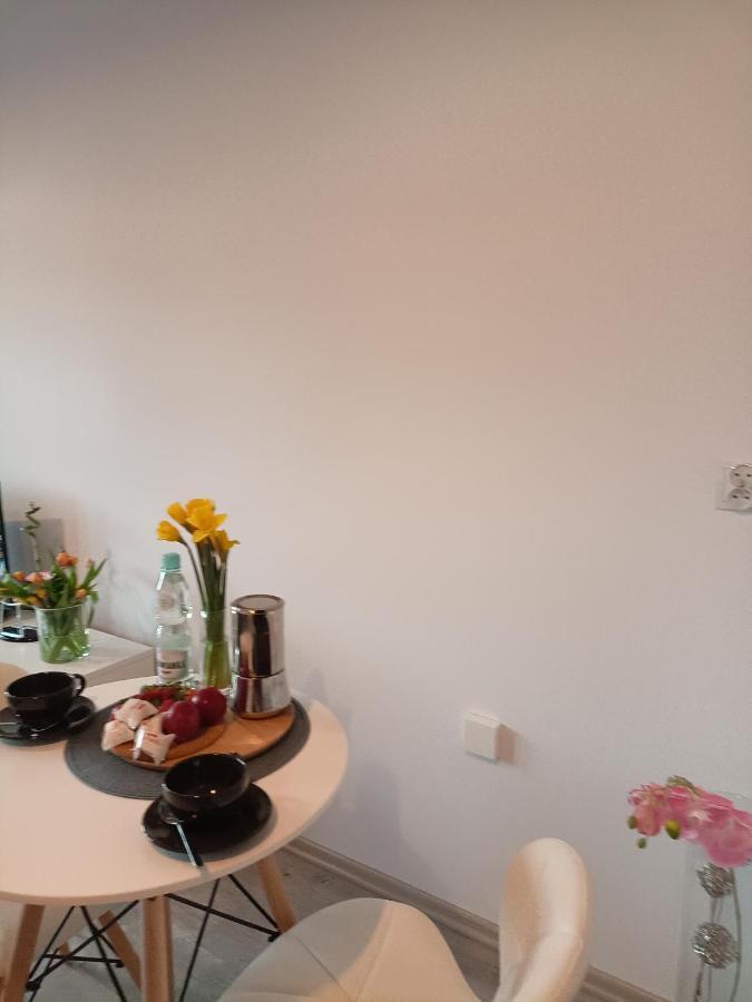 Appartement Apartament Z Sauna I Jacuzzi à Radom Extérieur photo