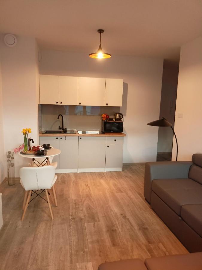 Appartement Apartament Z Sauna I Jacuzzi à Radom Extérieur photo